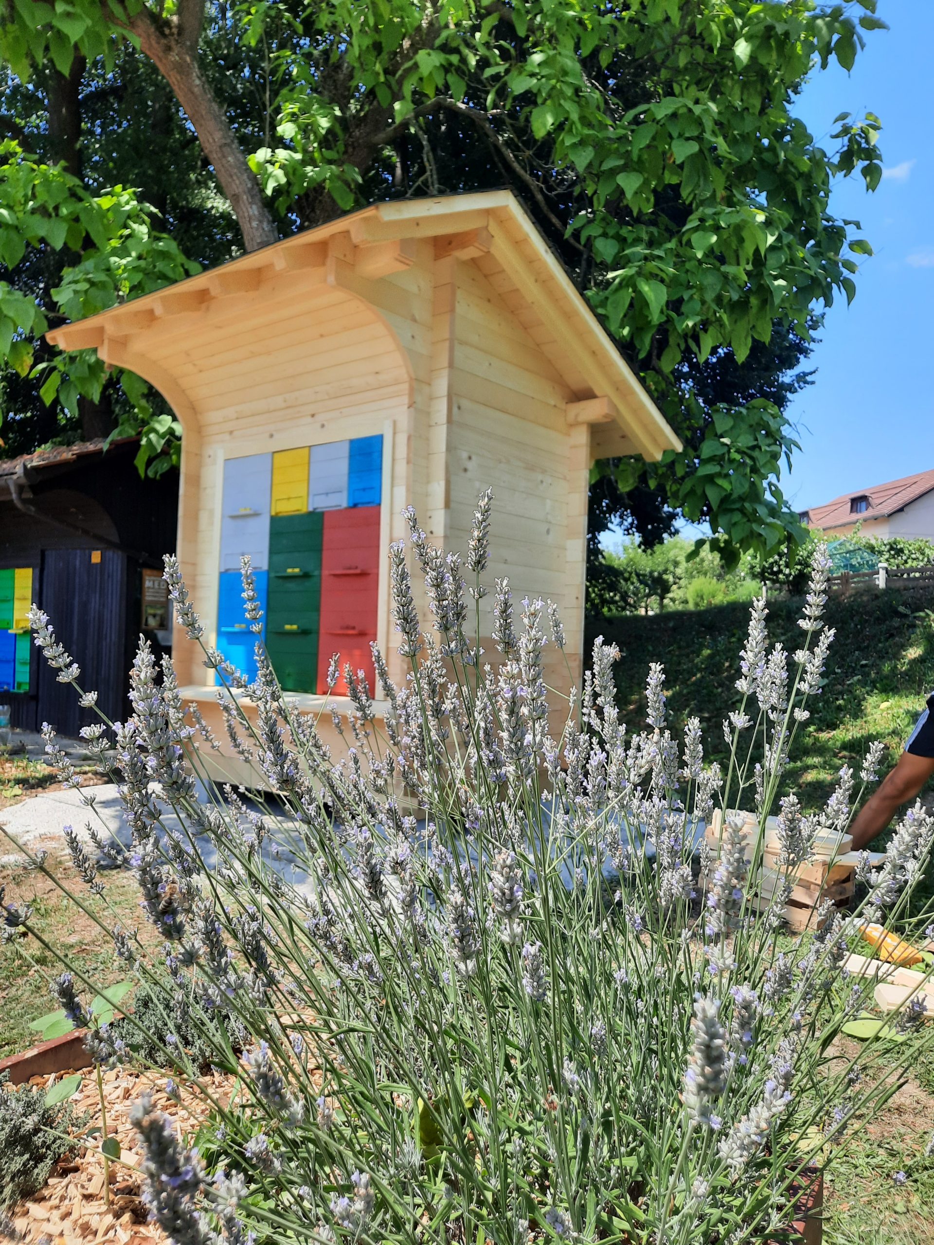 učni čebelnjak #začebele